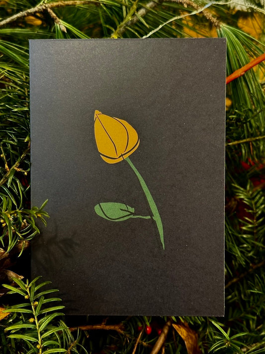 Lanterne chinoise - Chinese Lantern